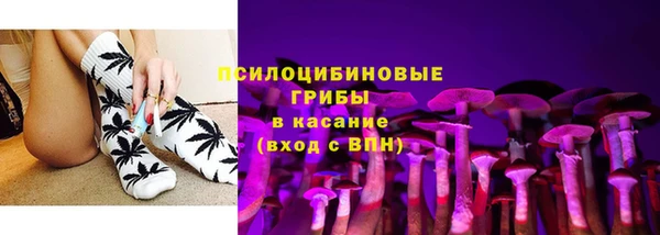 гашик Горно-Алтайск