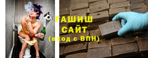 гашик Горно-Алтайск