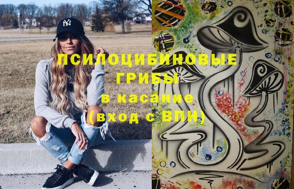 гашик Горно-Алтайск