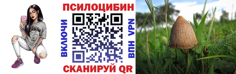 Галлюциногенные грибы GOLDEN TEACHER  Купить где  Сатка 
